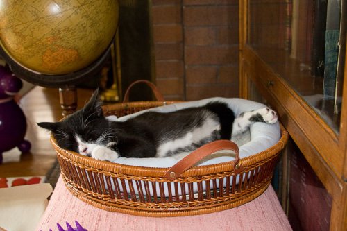 Misha_2008-07-11_IMG_0237